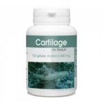 GPH DIFFUSION CARTILAGE REQUIN 100 GELULES