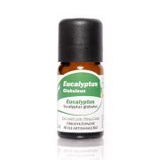 Aromapedia Eucalyptus globuleux Huile Essentielle 10ml
