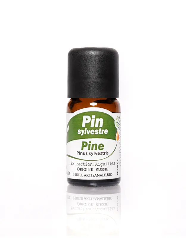 Pin_sylvestre.jpg Aromapedia Pin sylvestre Huile Essentielle 10ml – Image 1
