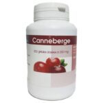 GPH DIFFUSION CANNEBERGE BIO 200 GELULES 250 MG