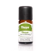 Aromapedia Thuya Huile Essentielle 10ml