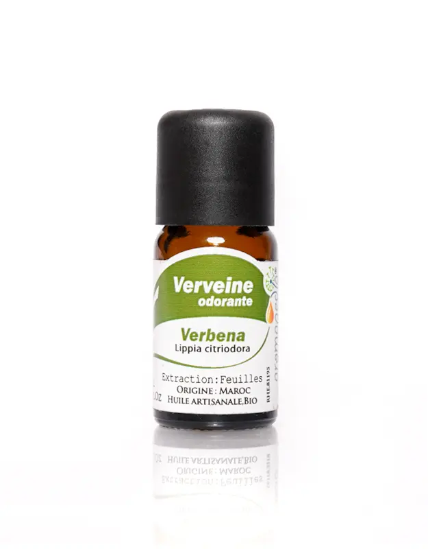 Verveine.jpg Aromapedia Verveine audorante Huile Essentielle – Image 1