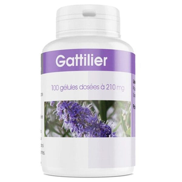 GPH DIFFUSION GATTILIER 210 MG 100 GELULES