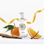 ROGER & GALLET BOIS D'ORANGE EAU PARFUMEE 100ML – Image 2