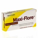 Synergia Maxi-flore