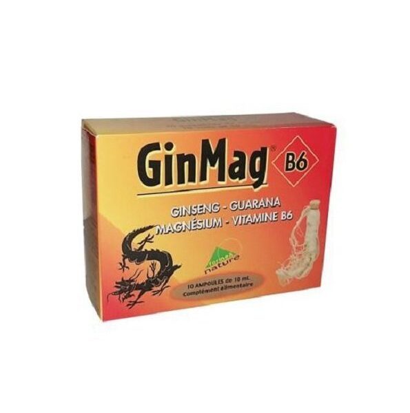 GINMAG B6 10 AMPOULES