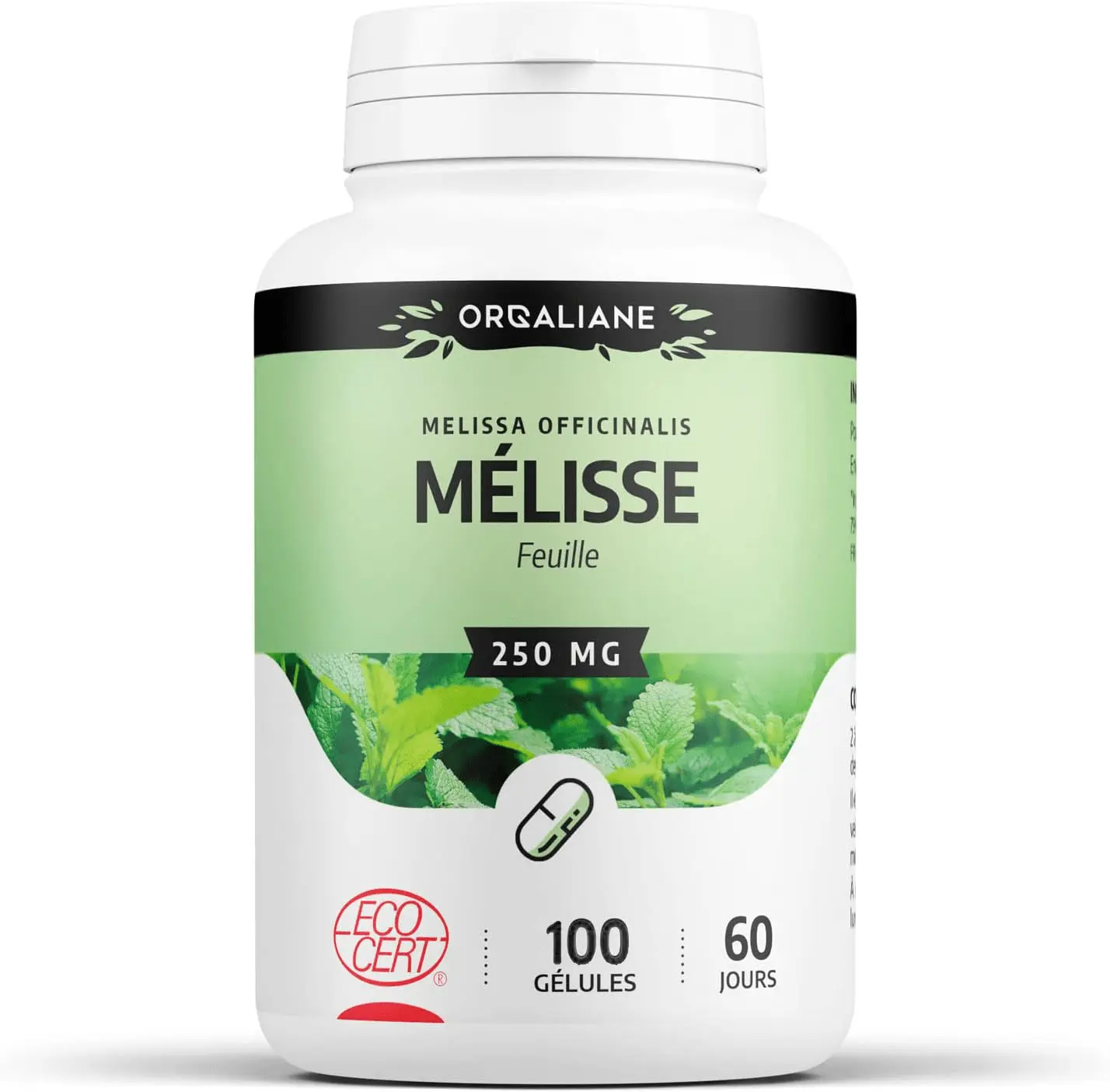 GPH MELISSE 100 GELULES DOSES A 250MG GPH MELISSE 100 GELULES DOSES A 250MG