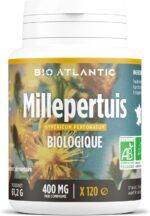 Millepertuis Bio 400 mg comprimés