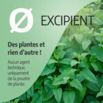 GPH MELISSE 100 GELULES DOSES A 250MG – Image 5