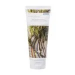 DUCRAY KELUAL SQUANORM LOTION DEMANGEAISONS LIEES AUX PELLICULES 200ML – Image 3