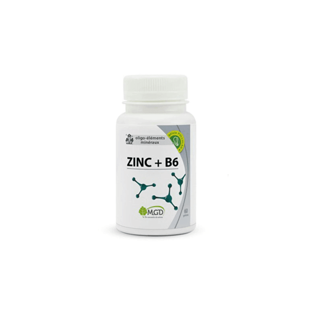 Mgd-Nature-zinc-B6-60-Gelules-1.png Mgd Nature zinc+ B6 60 Gelules – Image 1