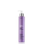 Erayba ABH Silver Mask No Yellow 250ml