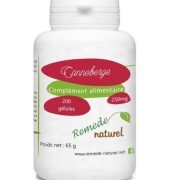 GPH DIFFUSION CANNEBERGE BIO 200 GELULES 250 MG