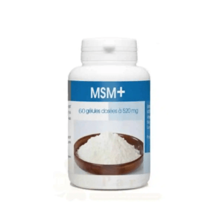 GPH DIFFUSION MSM+ 60 GELULES 520 MG