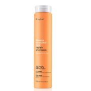 ERAYBA ABH ALWAYS BEAUTIFUL HAIR REPAIR SHAMPOOING 250ML