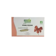 GPH DIFFUSION VIGNE ROUGE 20 AMPOULES