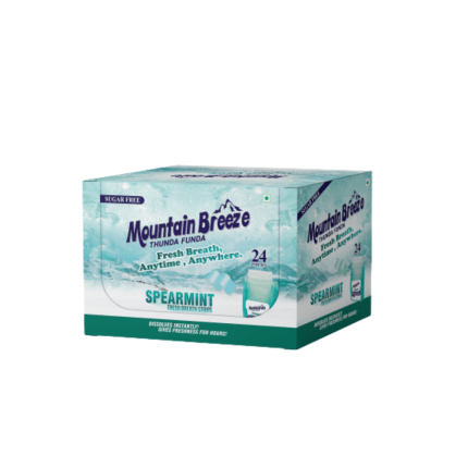 MOUNTAIN BREEZE POCKET PACKS COOL MINT 24 BANDES DE MENTHE VERTE